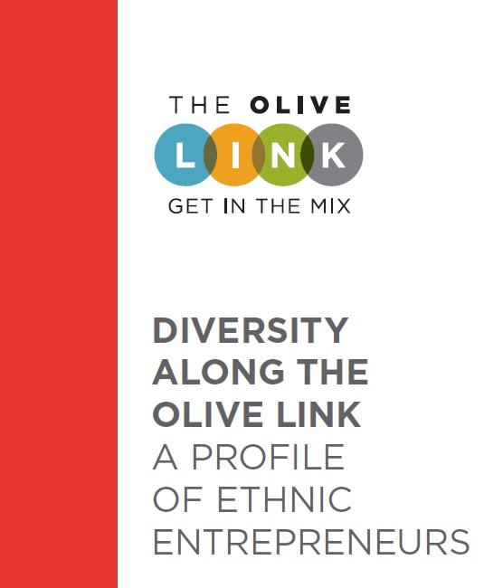 Diversity in the Link.jpg